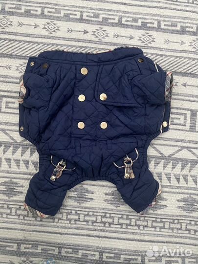 Одежда для собак