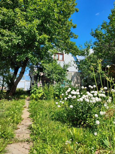 Дача 43,6 м² на участке 3,4 сот.