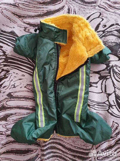 Вещи для собак