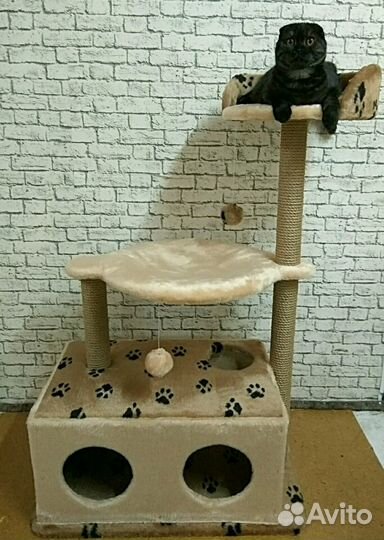 Игровой комплекс для кошек Домик для двоих