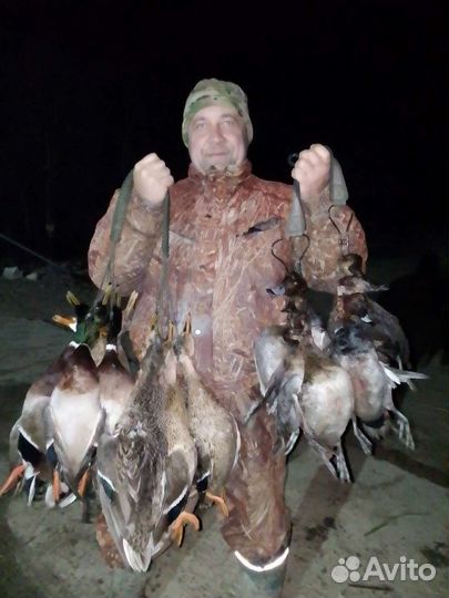 Организация охоты на водоплавающую дичь