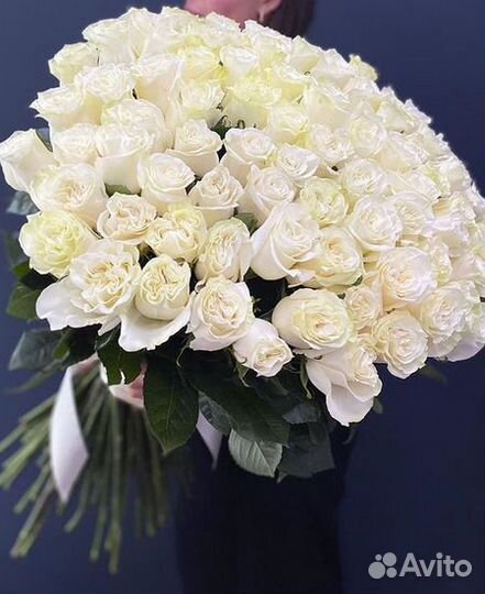 Розы. 101 роза