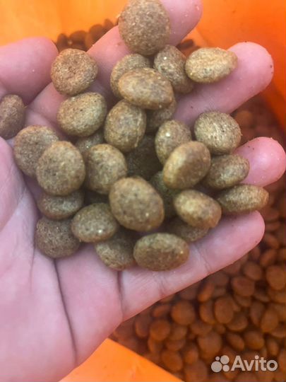 Сухой корм для собак Счастливчик