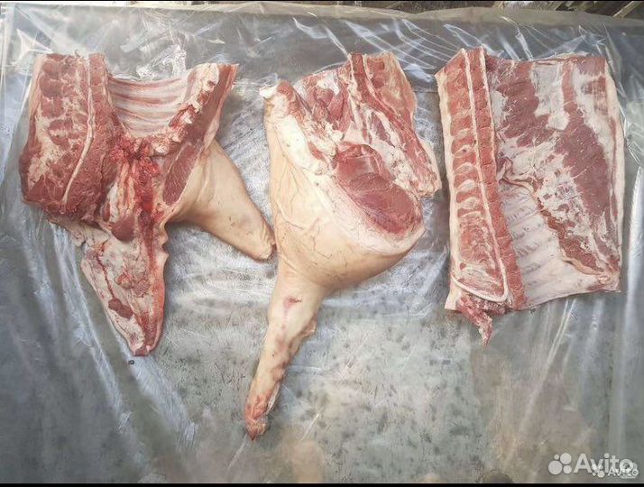 Мясо свинина