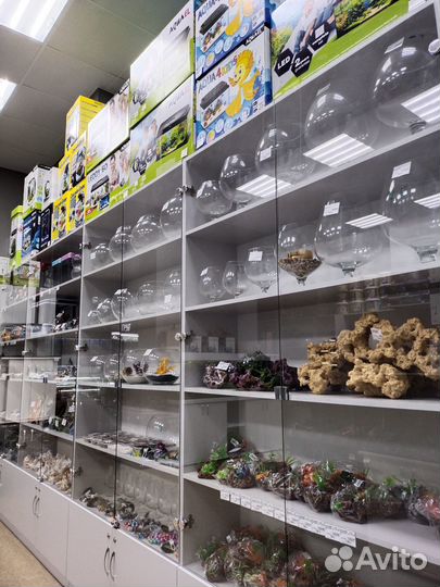 Магазин профессиональной аквариумистики в Казани