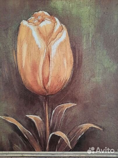 Картина Уютерра 