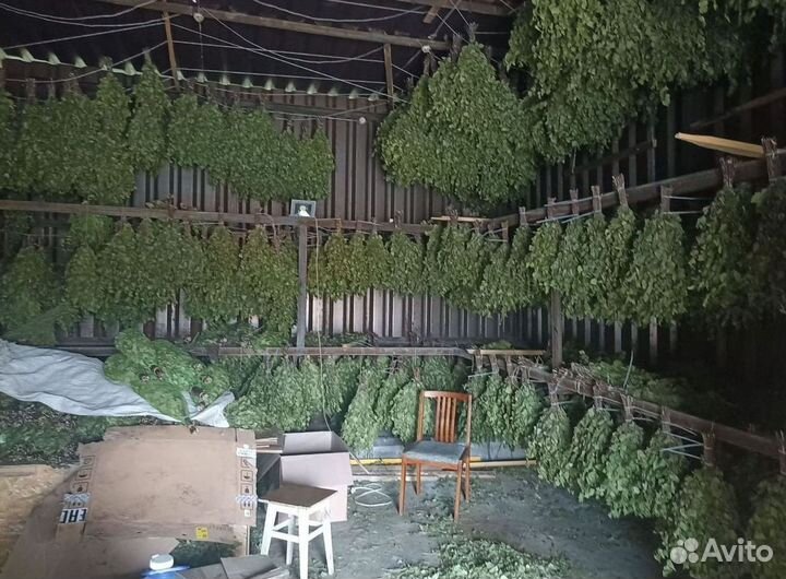 Веник для бани и травы Полынь Донник опт