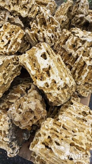 Камни Миотис, Ракушечник для аквариума и ландшафта