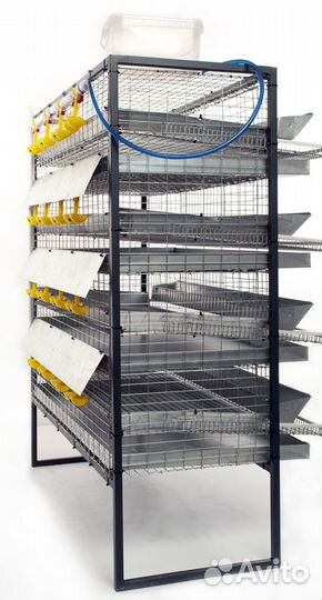 Клетки для перепелов на 200 птиц