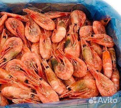 Креветка северная 90