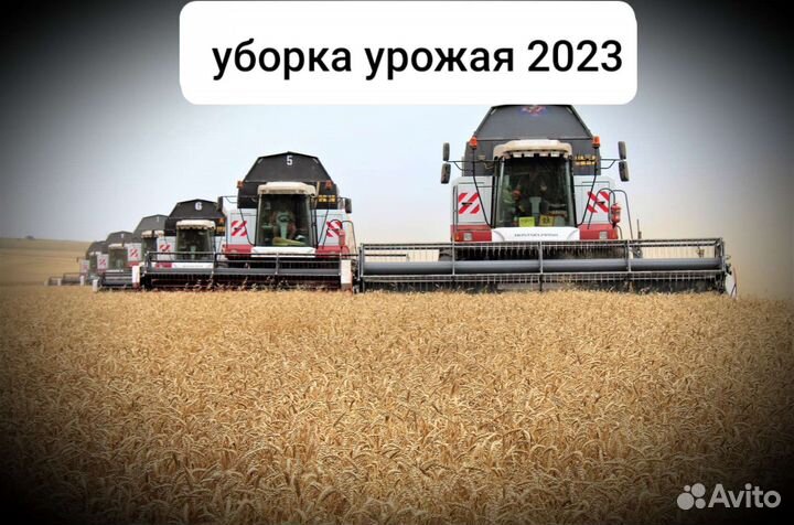 Уборка урожая 2023