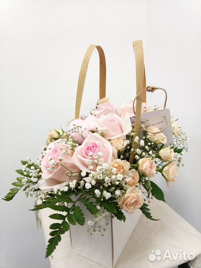 Гипсофила оптом и в розницу