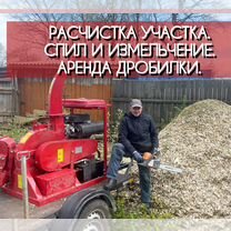 Расчистка участка. Удаление деревьев, Красноармейск