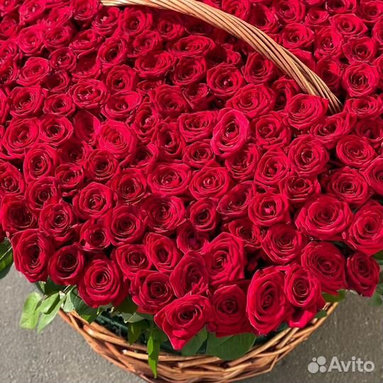 251 Роза в корзине
