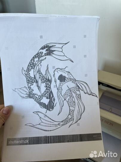 Принтер xerox phaser 3117