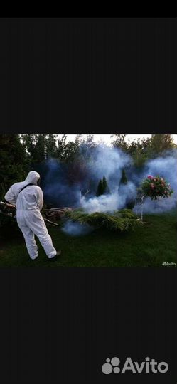 Уничтожение ос, шершней,гнезд