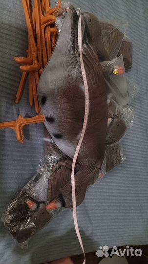 Утки подсадные для охоты