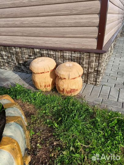 Деревянный гриб