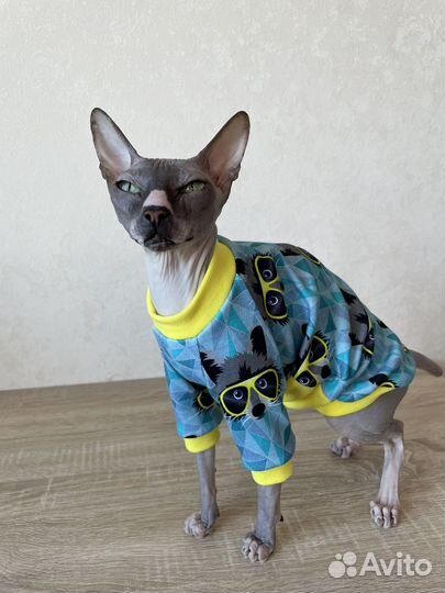 Одежда для сфинкса(кота/кошек/котят)