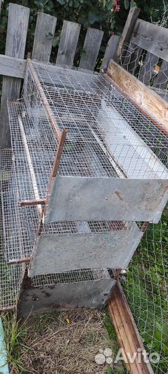 Клетки для перепелов бу