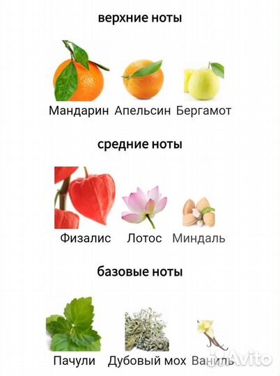 Парфюмерная вода Lulu Castagnetta Piege