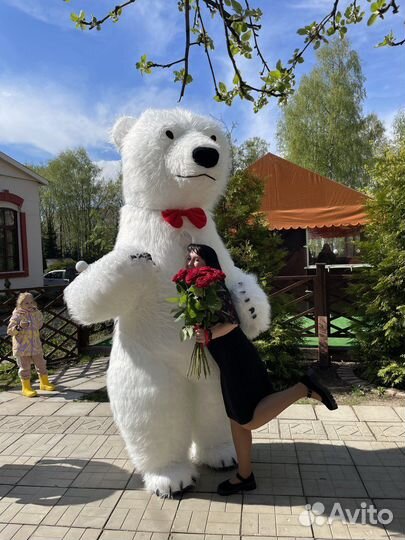 Поздравления от Белого Мишки и Лисёнка