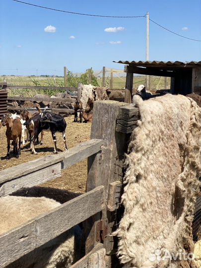 Выездной мастер класс