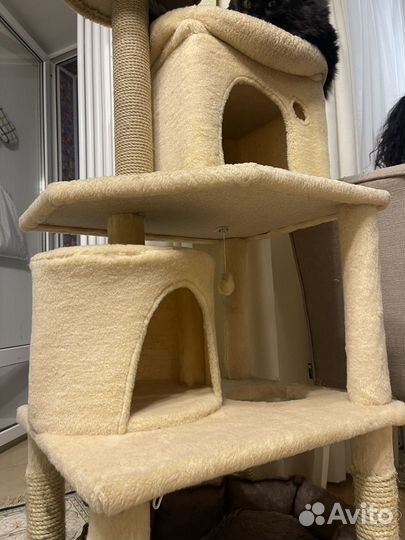 Дом для кошки