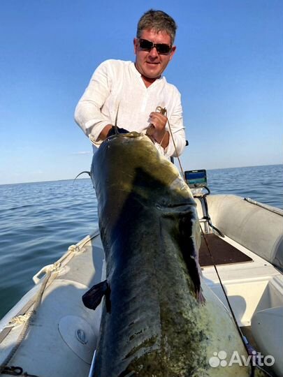 Трофейная рыбалка на сомов и судаков