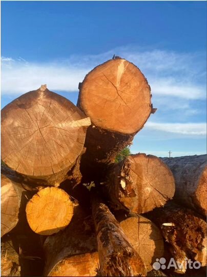 Колотые осиновые дрова