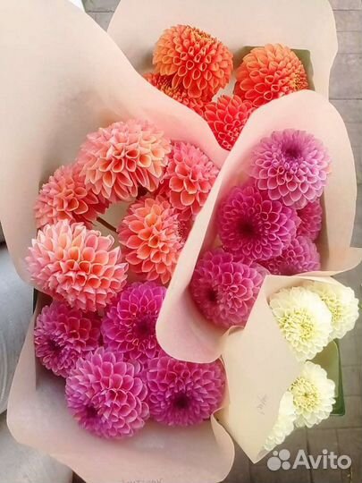 Георгины букет