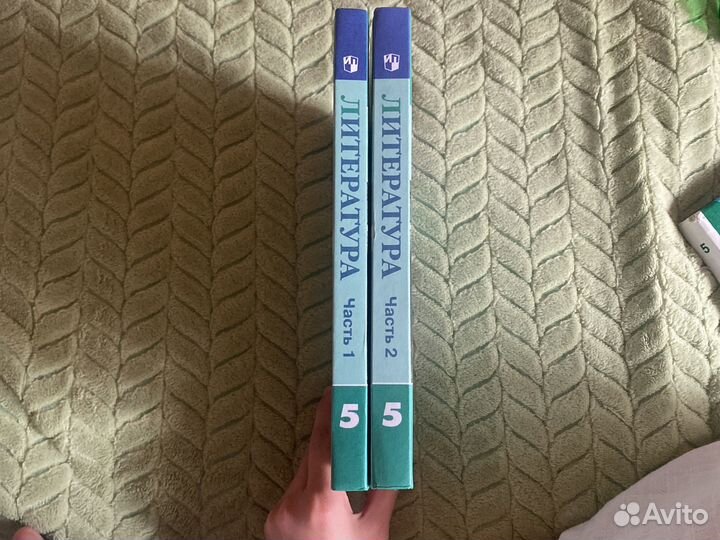 Учебник литературы 5 класс коровина