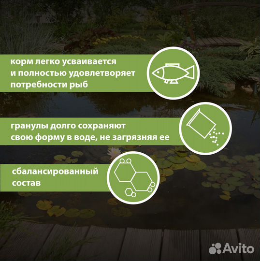 Корм для карпов кои и прудовой рыбы - bodapro