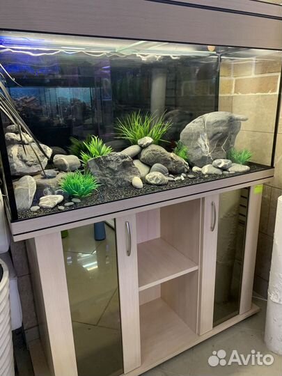 Аквариум