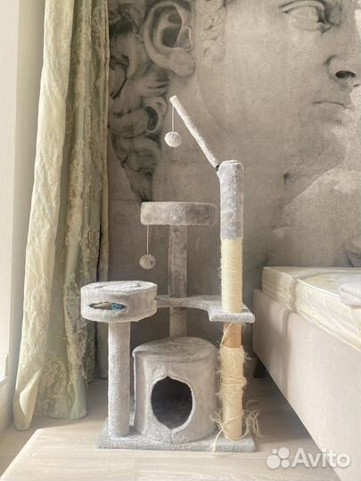 Когтеточка