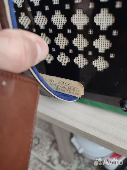 Гармонь тальянка казань