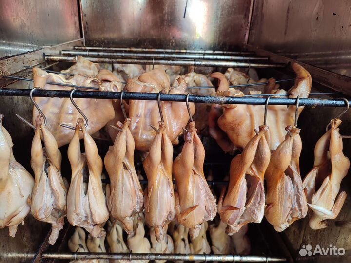 Перепел Белый гигант