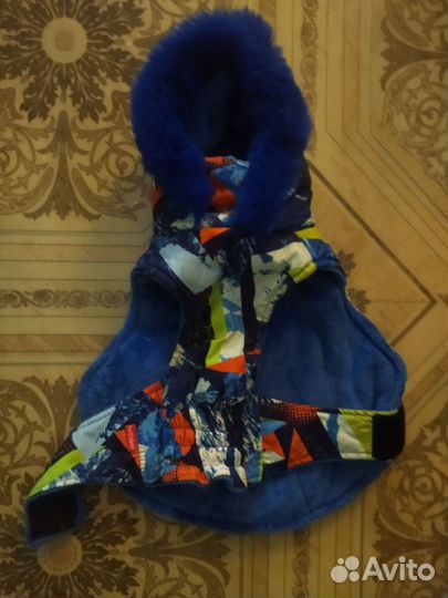 Одежда для собак