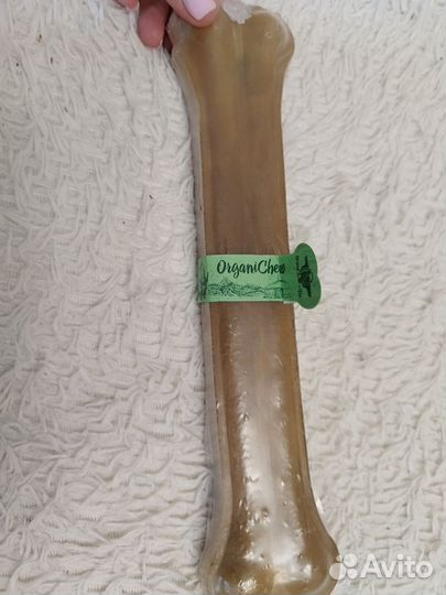 Кость жильная