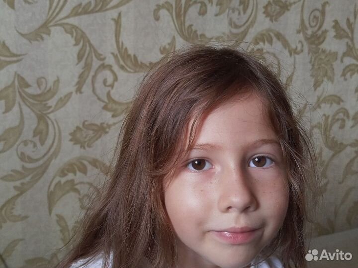 Нарисую вашего питомца