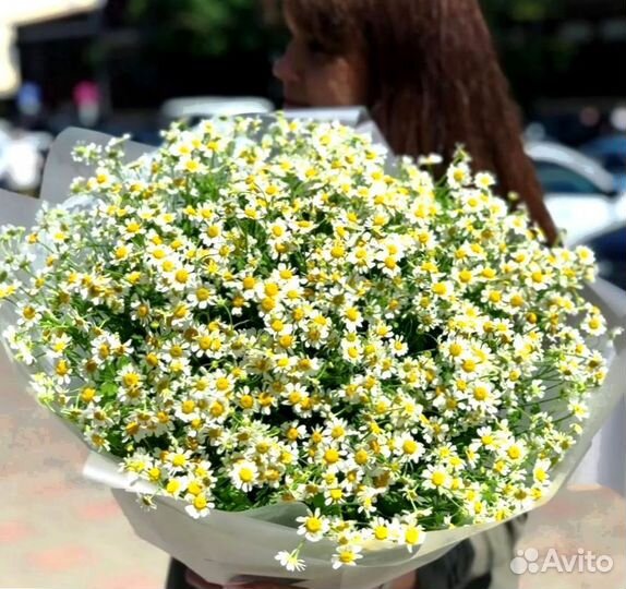 Ромашки, букет цветов,Ромашки опт