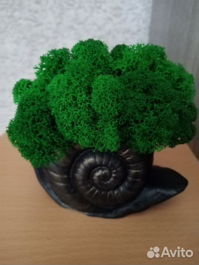 Ручная работы из стабилизированного мха