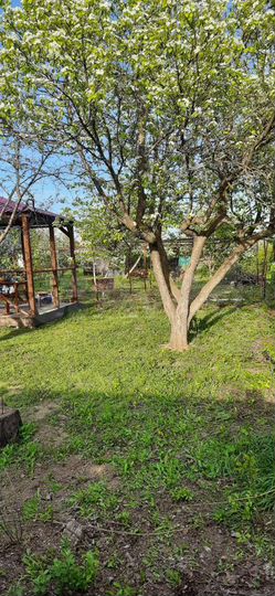 Дача 40 м² на участке 6 сот.