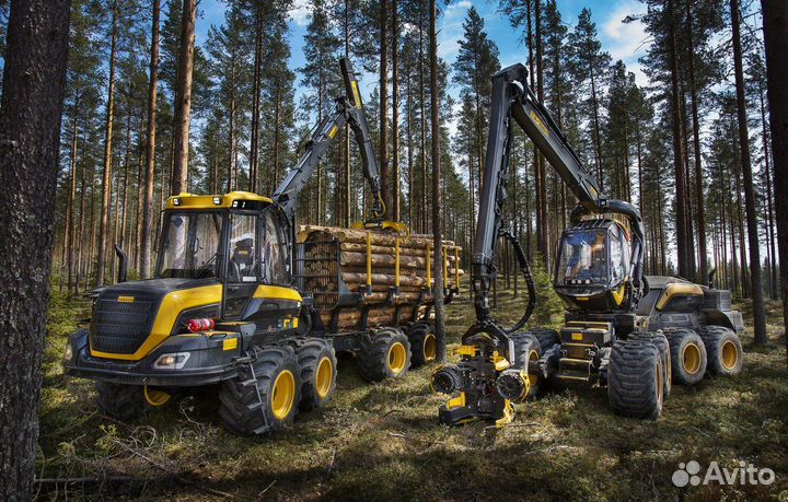 Оператор лесозаготовительного комплекса