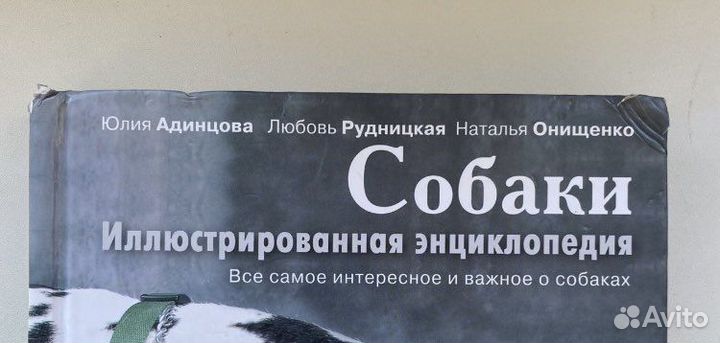 Энциклопедия «Собаки»