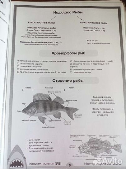 Материалы Умскул к егэ по биологии. Расп. конспект