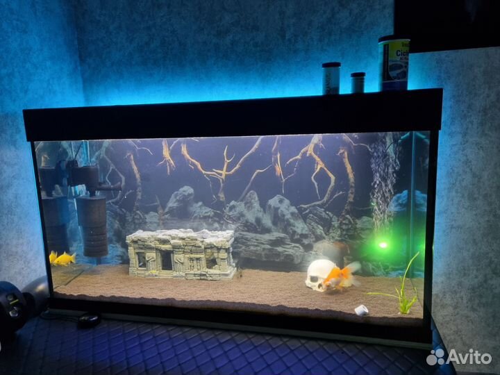Аквариум на 300 литров