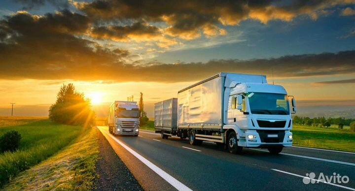 Грузоперевозки 20 тонн