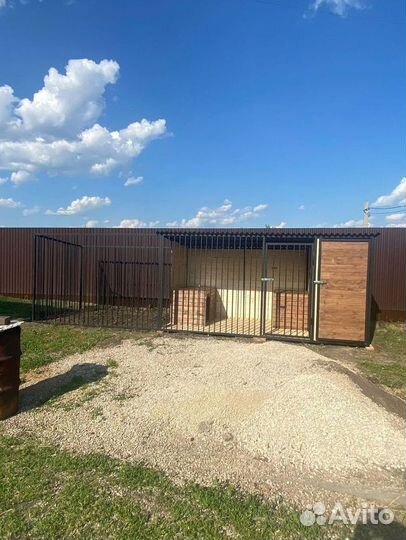 Вольер для собак с доставкой