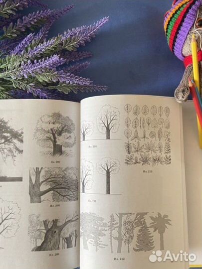 Учимся рисовать книга